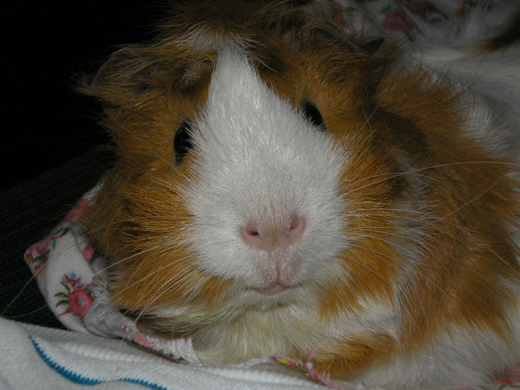 Bobina 2.JPG