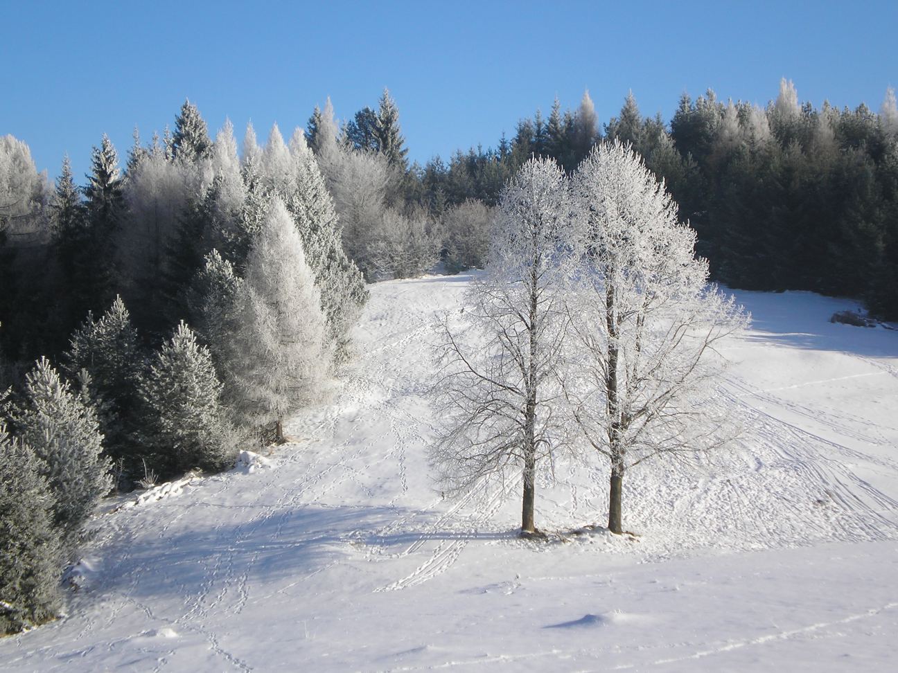 Zima vo veľkej Fatre